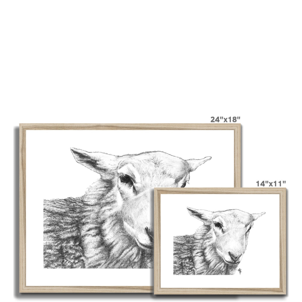 Tyler =Pencil= Framed & Mounted Print