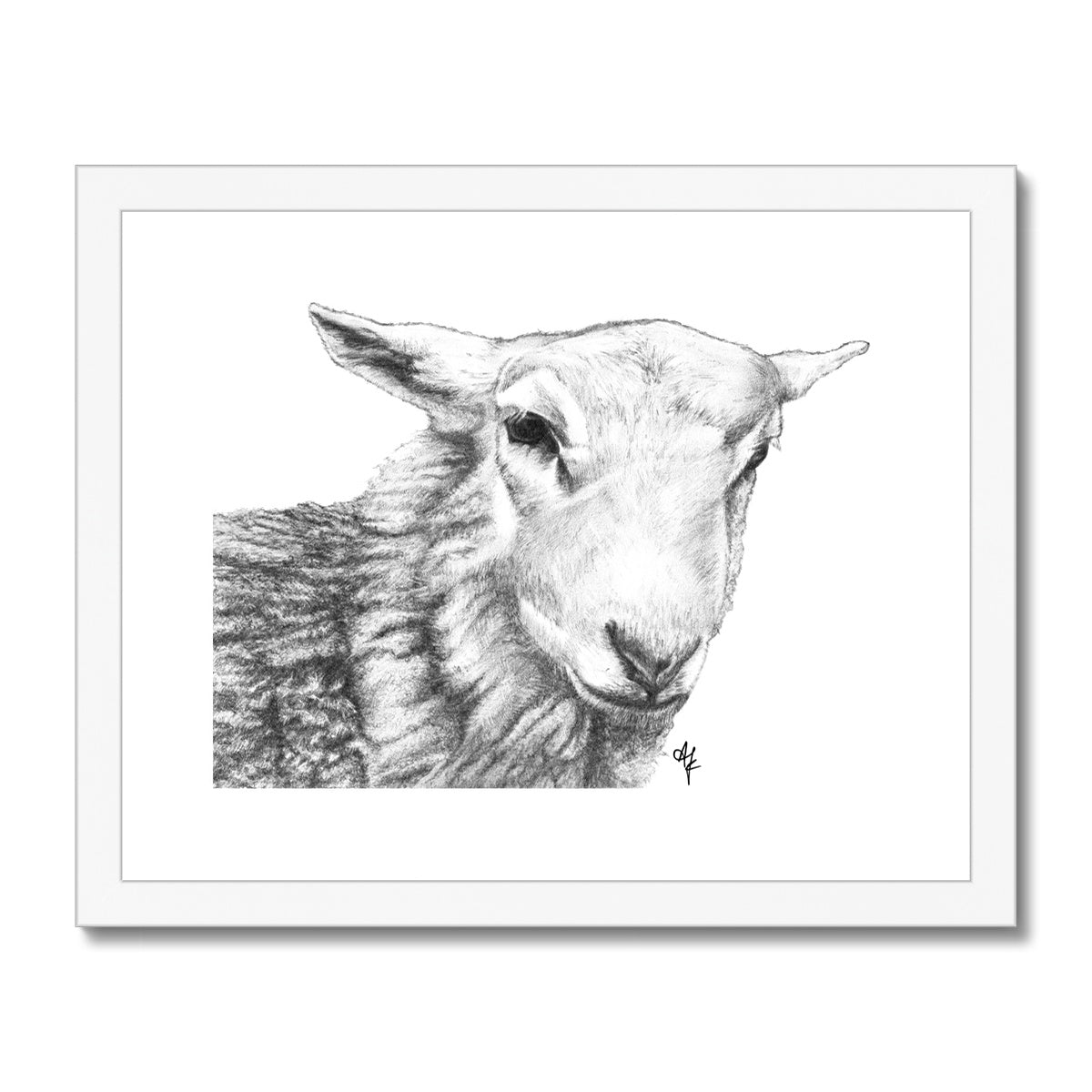Tyler =Pencil= Framed & Mounted Print