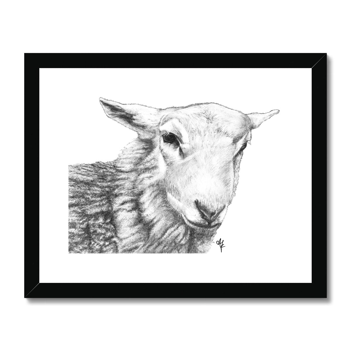 Tyler =Pencil= Framed & Mounted Print