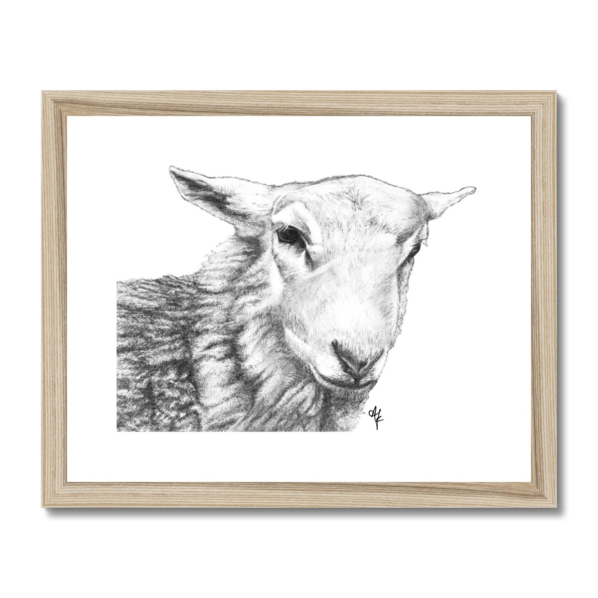Tyler =Pencil= Framed & Mounted Print