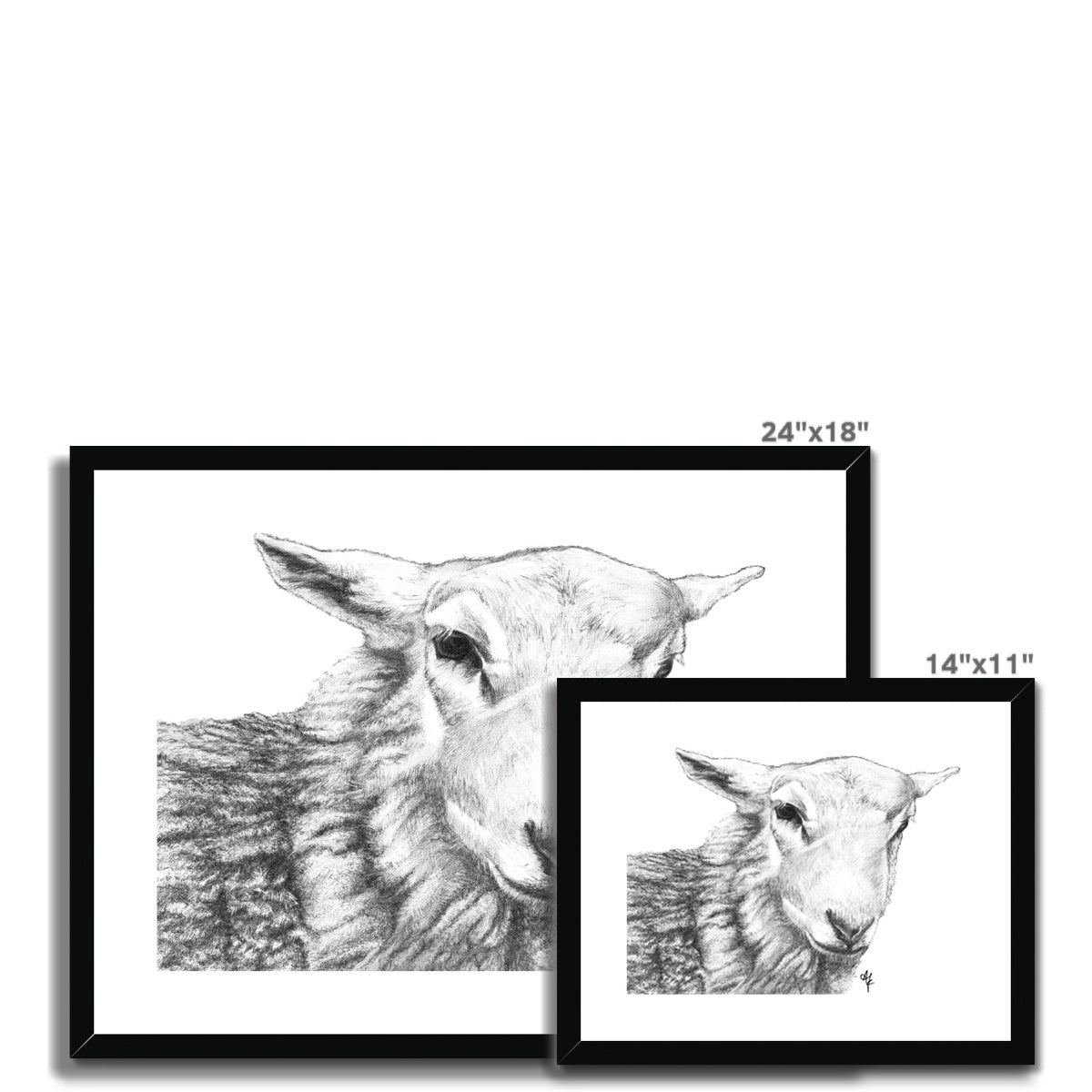 Tyler =Pencil= Framed & Mounted Print